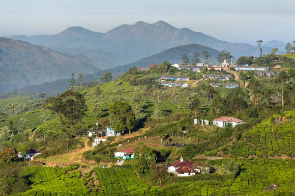 Lavoratori nelle piantagioni di tè Munnar — Foto Stock