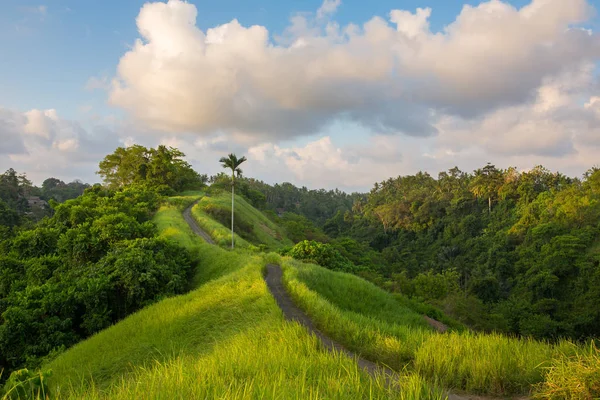 Campuhan Ridge wandeling in Ubud — Stockfoto