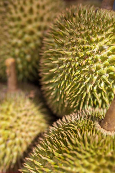 Durianfrukter på markedet – stockfoto
