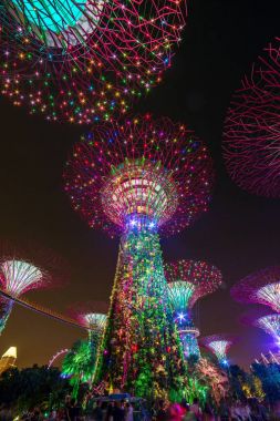  Işıklı Supertree Grove Gardens