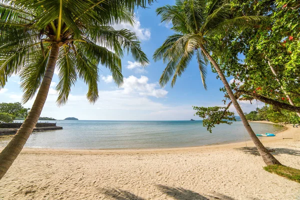 Güzel tropikal sahilde palmiye ağaçları — Stok fotoğraf
