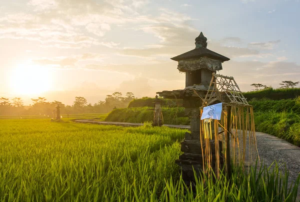 Traditional Balinese house of spirits — Stock Photo, Image