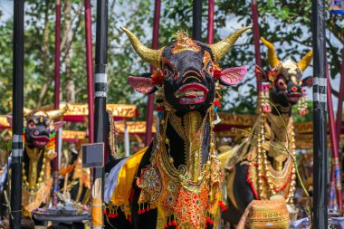 Tören boğa heykelleri