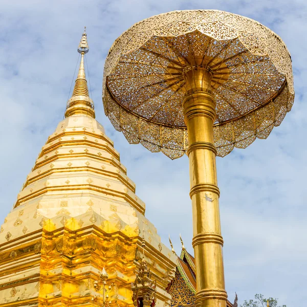 황금 체디와 우산 — 스톡 사진