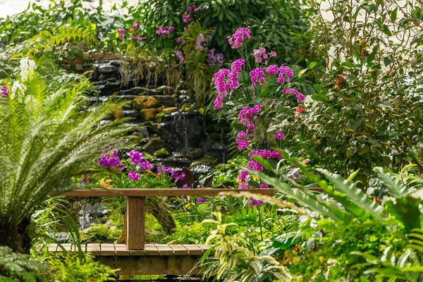 Güzel tropik bitkiler ve çiçekler 