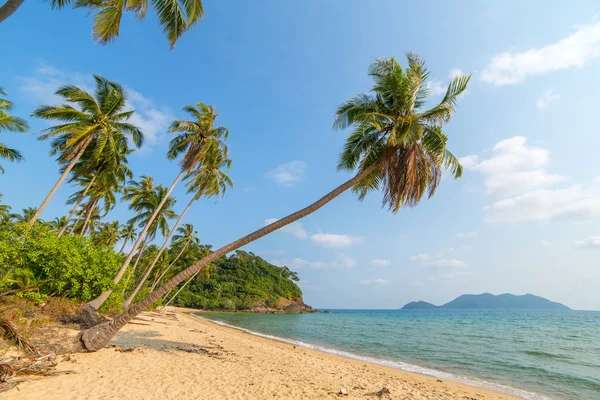 Schöner tropischer Strand mit Palmen — Stockfoto