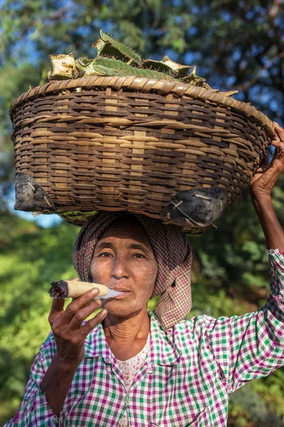 Frau raucht eine traditionelle Tabakzigarre — Stockfoto