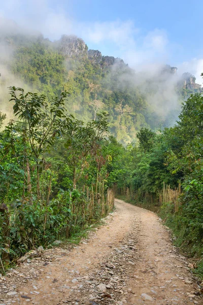 Bella strada rurale nella foresta tropicale — Foto Stock