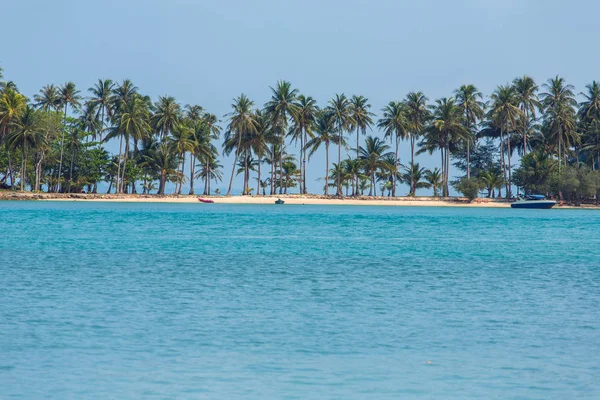 Palmiye ağaçları olan güzel tropikal plaj — Stok fotoğraf