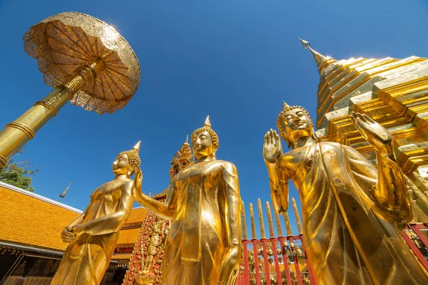 Golden chedi og paraply i Wat Phra That Doi Suthep Temple – stockfoto