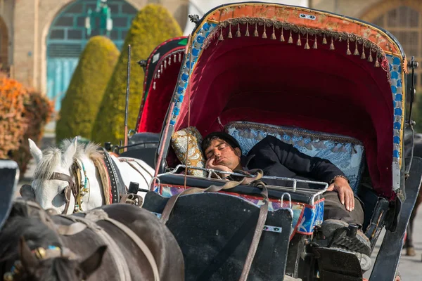 Iranian man sleeps in horse-driven carriage — Stock Photo, Image