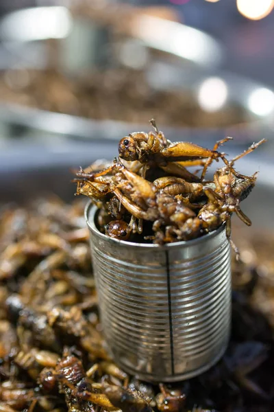 Stekt gräshoppor som street food i Myanmar — Stockfoto