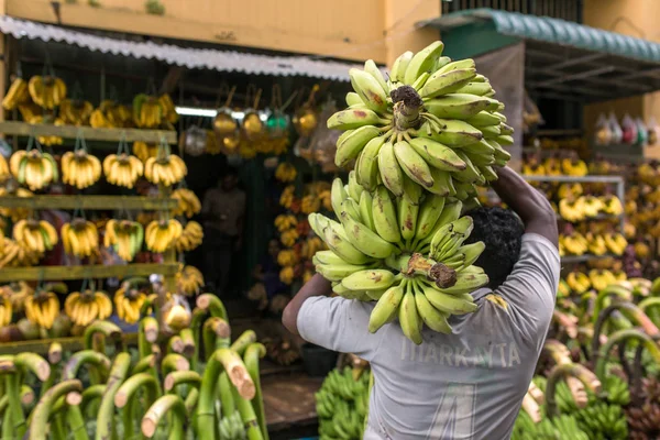 Man carry banch of bananas — Stock Photo, Image