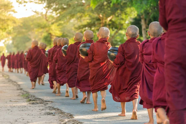 Mladí nováčci buddhistické chůze — Stock fotografie