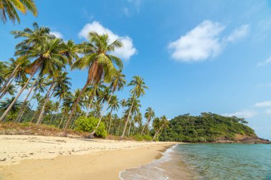 Koh Chang Adası Tayland güzel tropikal plajda palmiye ağaçları