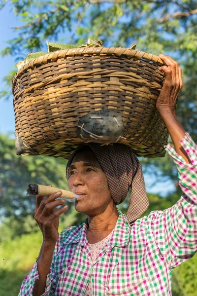 Bagan Myanmar October 2016 Unidentified Burmese Woman Smoking Traditional Big — Stock Photo, Image