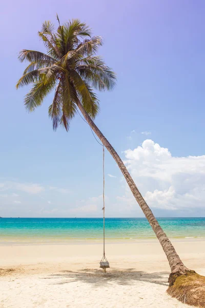 Dřevěná houpačka visí na pláži — Stock fotografie