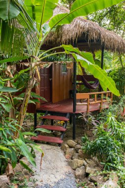Orman bungalow resort Koh Chang Adası, Tayland