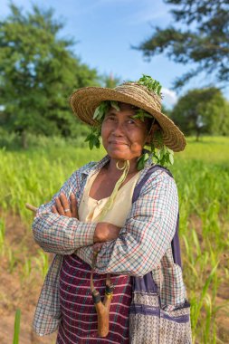 Bagan, Myanmar - Octobert 12, 2016: Bir sapan ile ve Sivrisinek yaprakları Bagan, Myanmar şapka altında anti bir Tanımlanamayan Birmanya çiftçi kadın portresi