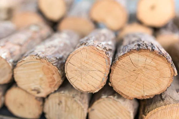 Thanaka wood close-up. — Stock Photo, Image