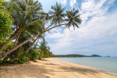 Koh Chang Adası Tayland güzel tropikal plajda palmiye ağaçları