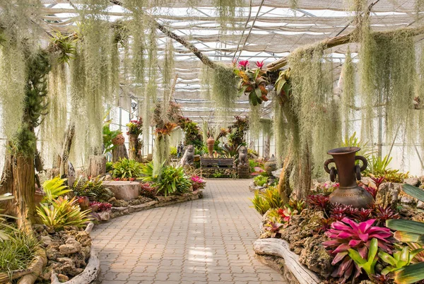 泰国清迈皇后丽吉园植物园温室 — 图库照片