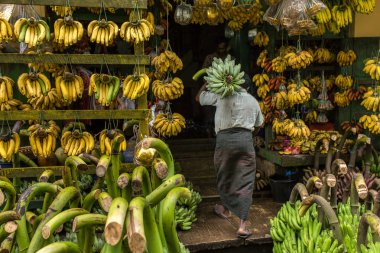 Yangon, Myanmar - 26 Eylül 2016: Kimliği belirsiz taşımak banch yeşil muz muz alışveriş Yangon, Myanmar