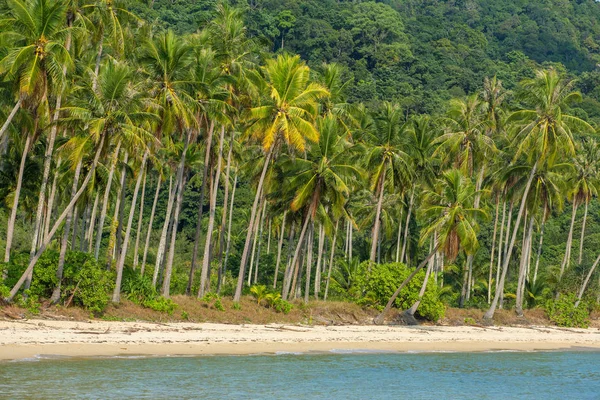 Palmer Vid Vackra Tropiska Strand Koh Kood Island Thailand — Stockfoto