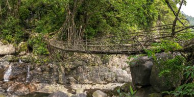 Yaşam Köprüsü yakınlarında Nongriat Köyü, Cherrapunjee,: Meghalaya, India kökleri. Bu köprü Ağaç kökleri birlikte örgü yılda eğitim tarafından oluşturulmuş.