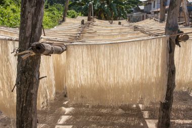 Ev yapımı pirinç makarna Myanmar güneşte kurutma.