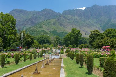 Babür Bahçe Srinagar, Hindistan