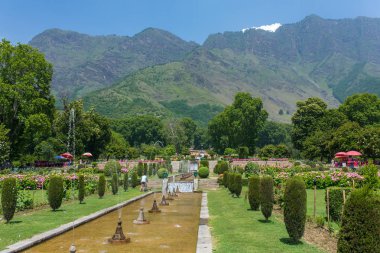 Mughal garden in Srinagar, India clipart