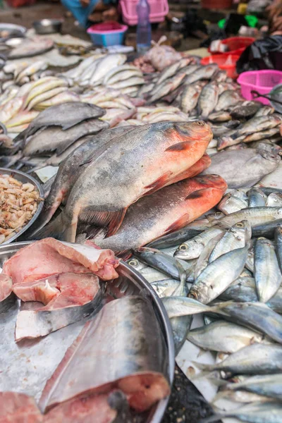 Frischer Fisch Auf Dem Markt Yangon Myanmar — Stockfoto