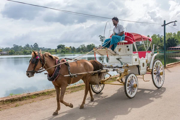 Pyin Lwin Myanmar Oktober 2016 Der Alte Pferdewagen Mit Einem — Stockfoto
