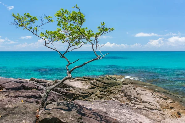 Tayland Koh Kood Adada Güzel Kayalık Sahil — Stok fotoğraf