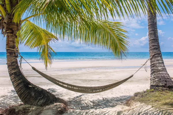 Empty Hammock Palm Trees Tropical Beach Thailand — Stock Photo, Image