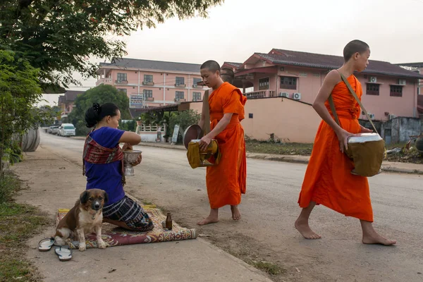 Vang Vieng Laos Januar 2017 Traditionelle Buddhistische Almosen Zeremonie Morgen — Stockfoto