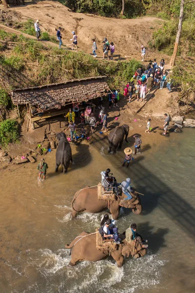 Chiang Mai February 2017 Tourists Riding Elephant River Chiang Mai — Stock Photo, Image