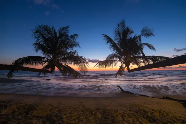 Palme Durante Tramonto Una Bellissima Spiaggia Tropicale Sull Isola Koh — Foto Stock