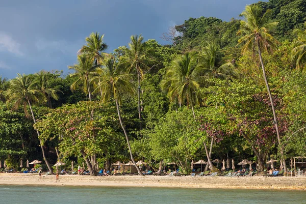 Чанг Таїланд Березня 2017 Пальмові Дерева Красивий Тропічний Пляж Острові — стокове фото