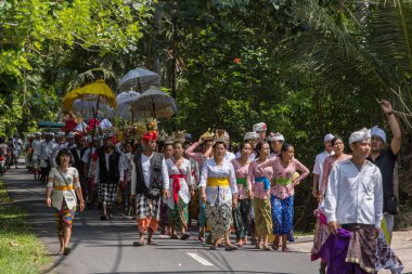 Bali, Endonezya - 16 Eylül 2016: Geleneksel balinese geçit töreni sırasında Galungan kutlama Ubud, Endonezya