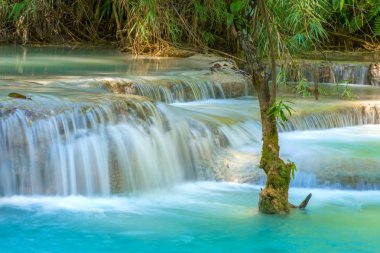 Görünüm Kuang Si şelaleler, Luang Phrabang, Laos