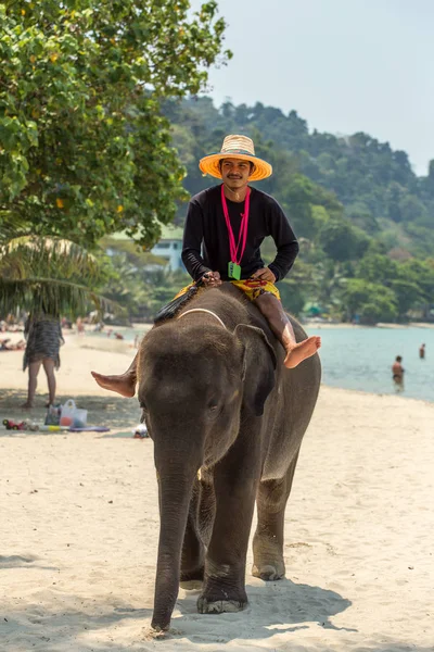 Koh Chang Thajsko Března 2017 Muž Slamák Domácí Slůně — Stock fotografie