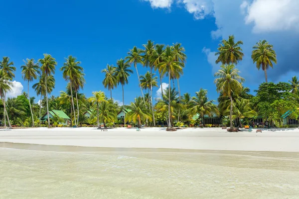 Palmen Und Häuser Tropischen Weißen Sandstrand Auf Der Insel Koh — Stockfoto