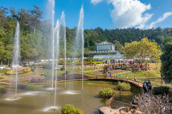 チェンマイ 2016 クイーンシリ キット植物園 チェンマイの近く — ストック写真