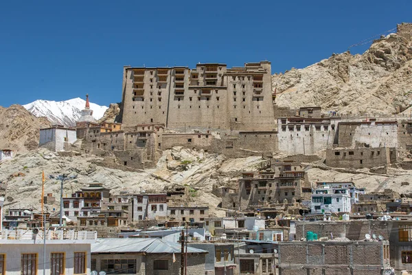 Leh Sarayı Ladakh Jammu Keşmir Hindistan — Stok fotoğraf