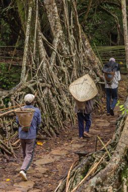 : Meghalaya, India - 15 Mayıs 2017: Durumda: Meghalaya, India yaşam kökleri köprüyü geçtikten Riwai Köyü'nden Khasi insanlar. Bu köprü Ağaç kökleri birlikte örgü yılda eğitim tarafından oluşturulmuş.