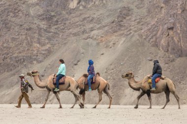 Ladakh, Hindistan - 29 Haziran 2017: safari Ladakh, Hindistan Nubra Vadisi'nde sırasında deve sürme Hintli turist