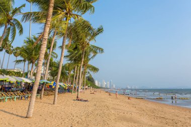 Pattaya, Tayland - 6 Mart 2017: Palmiye ağaçları ve gökdelenler ile Pattaya sahilde arka plan.