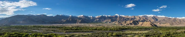 Güzellikler Leh Şehir Yeşil Indus Vadisi Ladakh Jammu Keşmir Hindistan — Stok fotoğraf